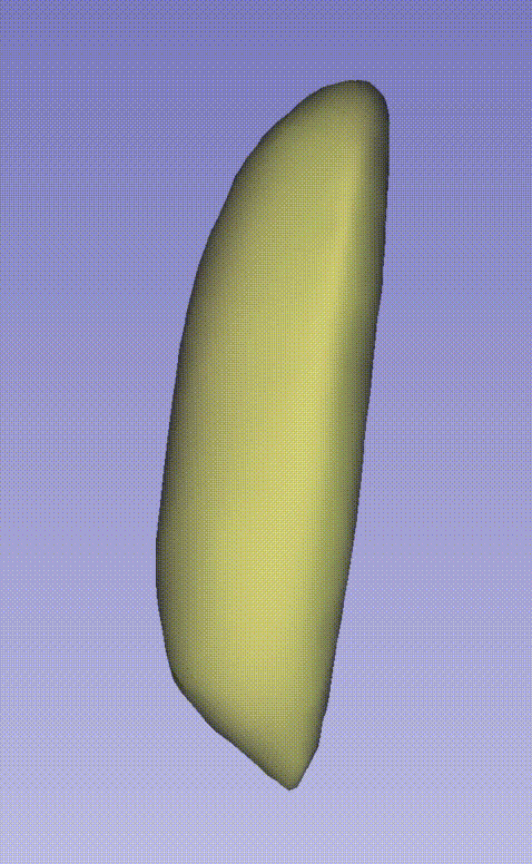 image3.gif
